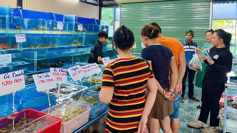 Nhà hàng Biển Xanh Cam Ranh mang đến trải nghiệm độc đáo khi thực khách tự tay lựa chọn hải sản tươi sống tại bể và thưởng thức món ăn chế biến ngay tại chỗ. 